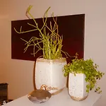 Bed & Breakfast Plagniau 4*