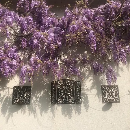 Plagniau 4* Rixensart