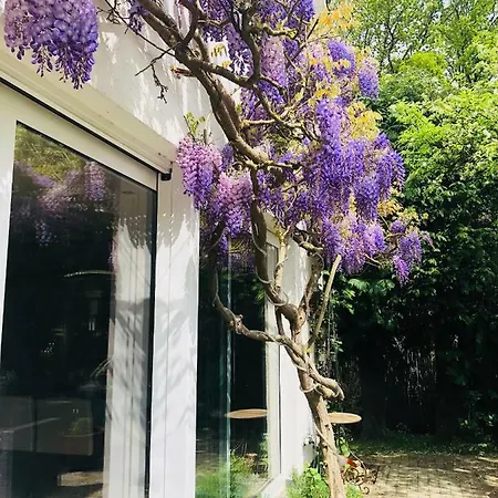 Bed & Breakfast Plagniau Rixensart