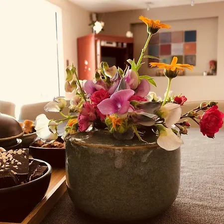 Bed & Breakfast Plagniau