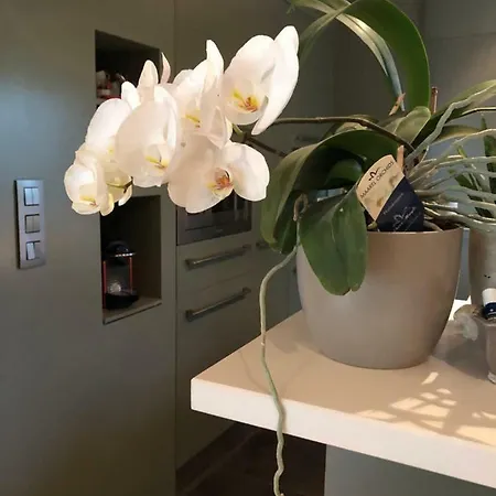 Plagniau Bed & Breakfast