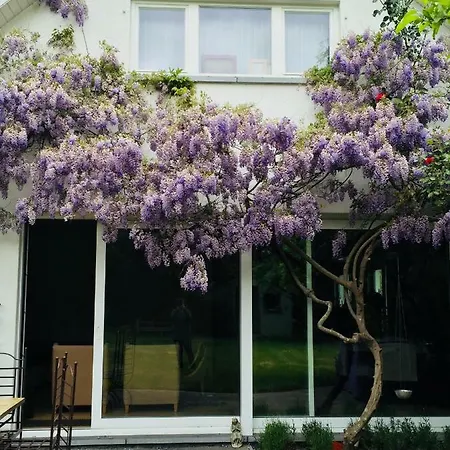 Plagniau Bed & Breakfast Rixensart